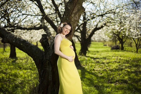 Güzel hamile kadın. 