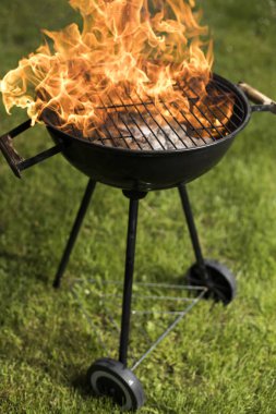 Yaz ızgara kavramı