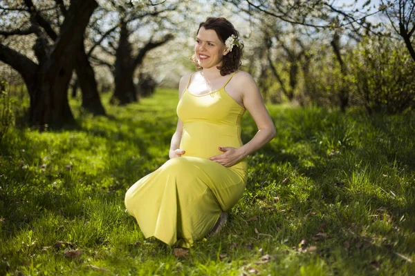 Junge schöne schwangere Frau — Stockfoto