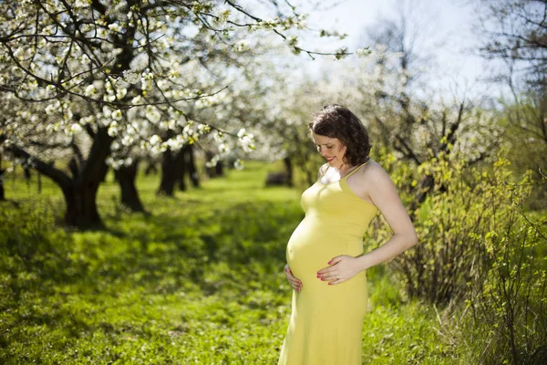 Güzel hamile kadın.