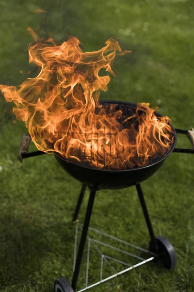 Doğa yangın Barbekü Izgara