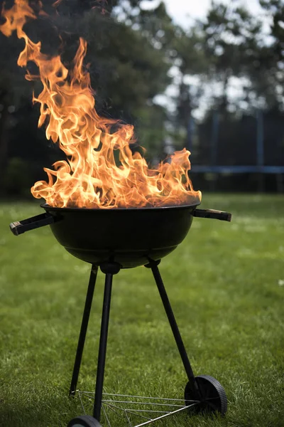 Doğa yangın Barbekü Izgara