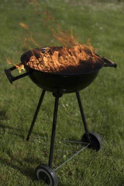 Yaz ızgara kavramı