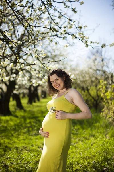 Güzel hamile kadın. 