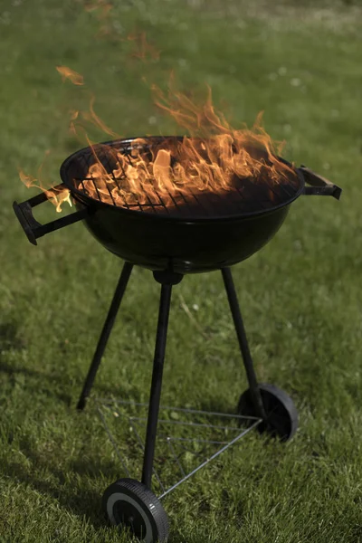 Yaz ızgara kavramı