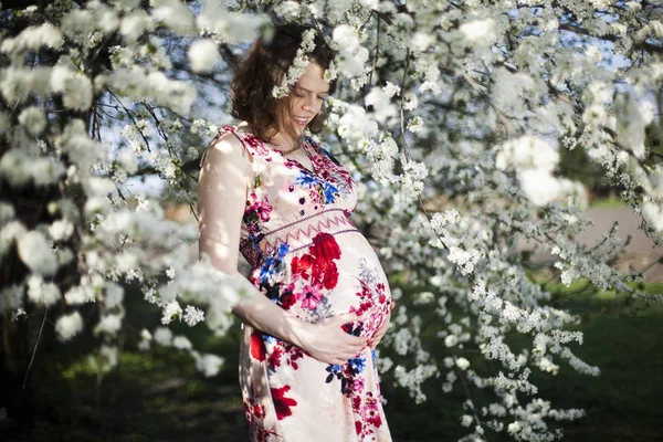 Mooie zwangere vrouw — Stockfoto