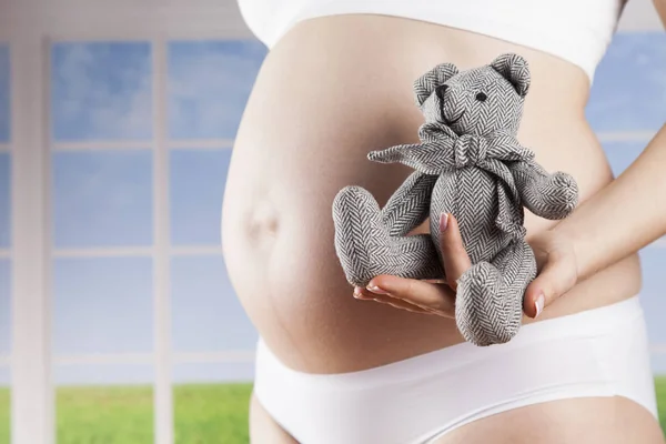 Αρκουδάκι και Happy έγκυο γυναίκα — Φωτογραφία Αρχείου