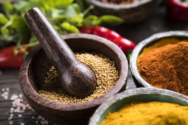 çeşitli baharatlar seçimi