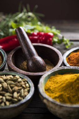 Bir seçim çeşitli renkli baharat     