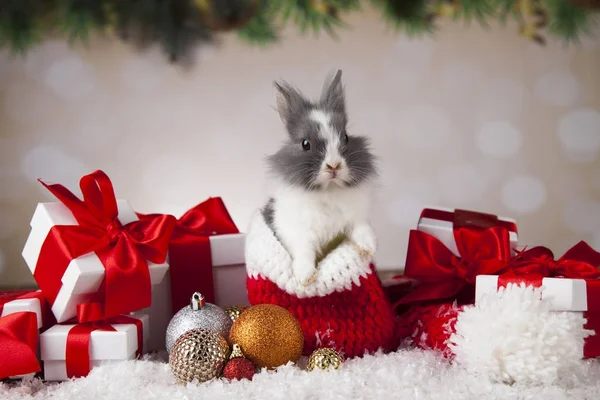 Pequeno coelho de Papai Noel no fundo de Natal — Fotografia de Stock