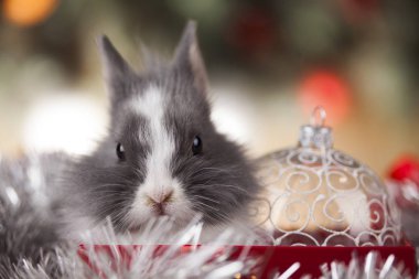 Noel arka plan üzerinde küçük Noel Baba tavşan