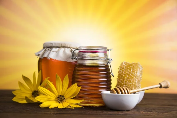 Květina, sladký med — Stock fotografie