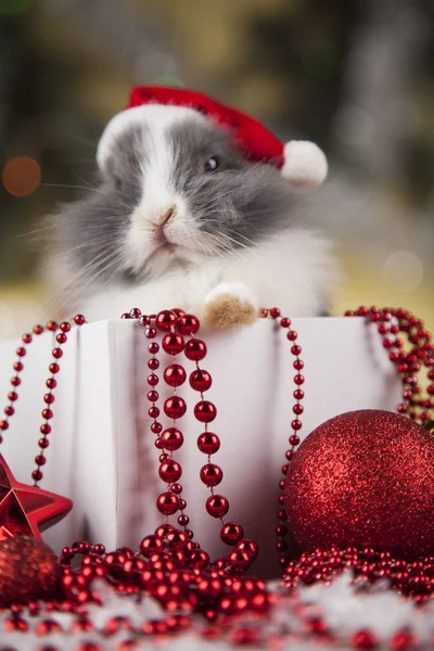 Funny bunny and Christmas background