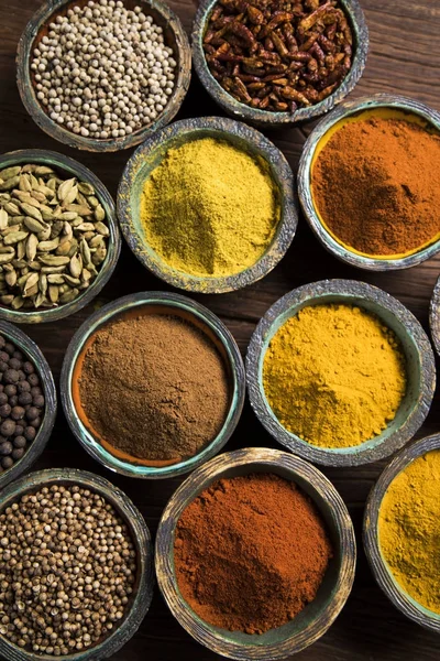 Different types of Assorted Spices — Stock Photo, Image