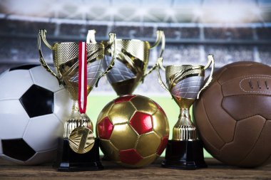 Bardak Kazananlar Ödülü, Spor donatımı ve topları