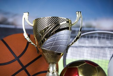 Kazanan kupa Şampiyonası Ödülü, Spor Stadyumu arka plan