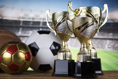 Bardak Kazananlar Ödülü, Spor donatımı ve topları