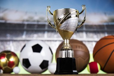 Bardak Kazananlar Ödülü, Spor donatımı ve topları
