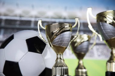 Bardak Kazananlar Ödülü, Spor donatımı ve topları