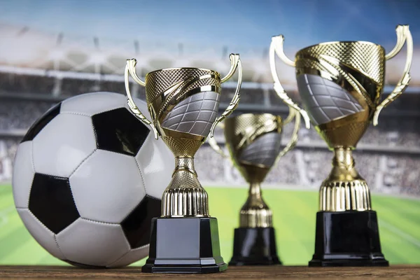 Troféu Para Campeão Fundo Esporte — Fotografia de Stock