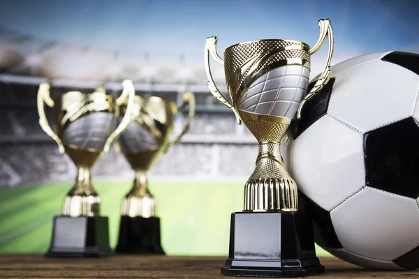 Taças Premiados Equipamento Desportivo Bolas — Fotografia de Stock