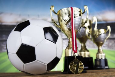 Kupa şampiyonu, spor arka planı için