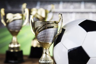 Kupa şampiyonu, spor arka planı için