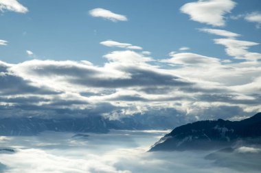 Dağlardaki kış ağaçları, doğa manzarası.