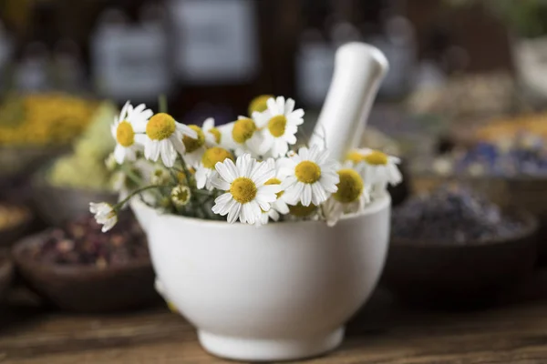 Natuurlijke remedie, kruidengeneeskunde en houten tafel achtergrond — Stockfoto