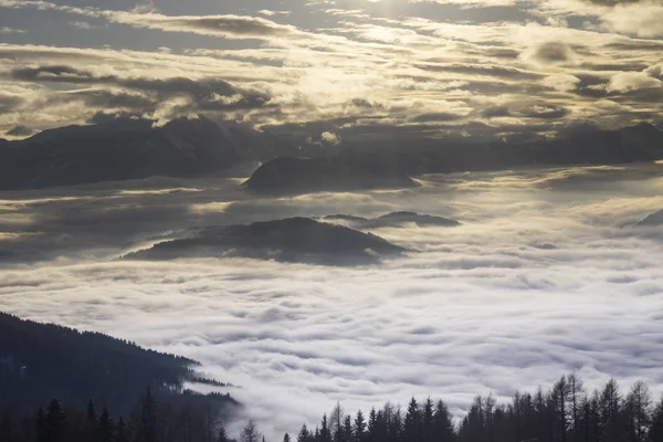 Fantastiskt vinterlandskap, solnedgång, snötäckta träd — Stockfoto