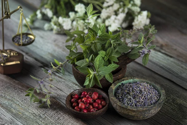 Natuurlijke remedie, kruidengeneeskunde en houten tafel achtergrond — Stockfoto