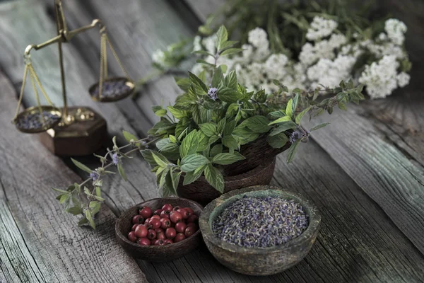 Herbs medicine and vintage wooden background — Stock Photo, Image
