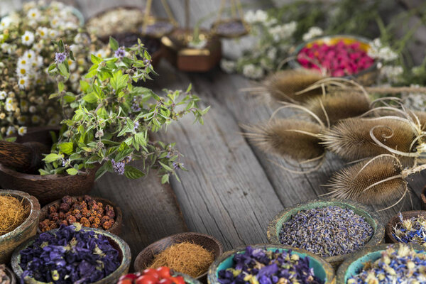 Natural remedy,Herbal medicine and wooden table background