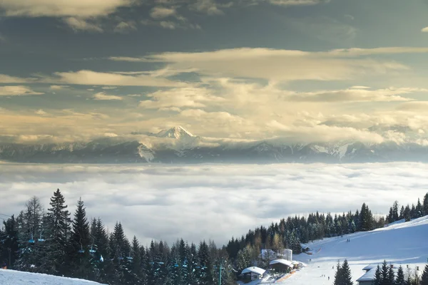 Fantastisch winterlandschap, zonsondergang, besneeuwde bomen — Stockfoto