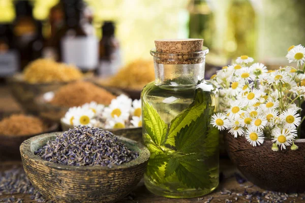 Fresh herbs and oils, wooden table background — Stock Photo, Image