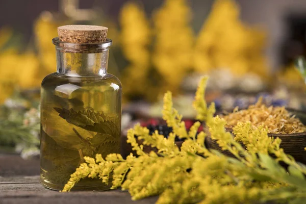 Remédio natural, Medicina herbal e mesa de madeira fundo — Fotografia de Stock