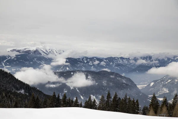 Schneebedeckte Tannen gegen blauen Himmel im kalten Winter — Stockfoto