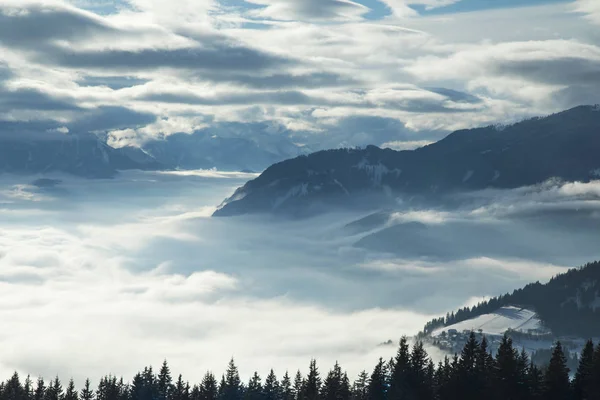 Árboles de invierno en las montañas, paisaje natural —  Fotos de Stock