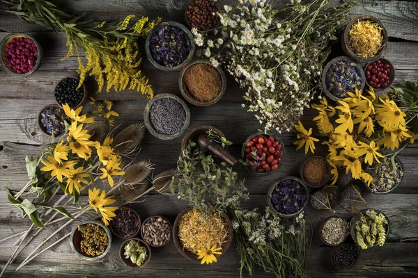 Herbs medicine and vintage wooden background — Stock Photo, Image