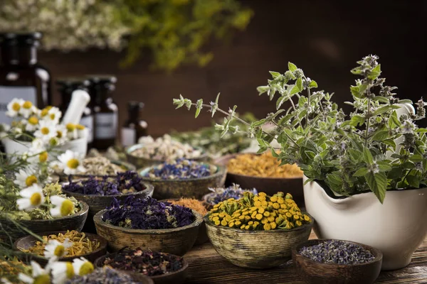 Herbs medicine and vintage wooden background — Stock Photo, Image