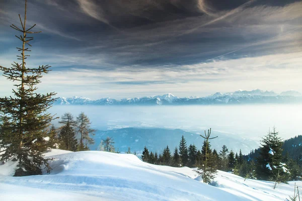 Winterbäume in den Bergen, Naturlandschaft — Stockfoto