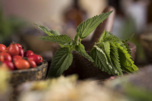 Herbs medicine and vintage wooden background — Stock Photo, Image