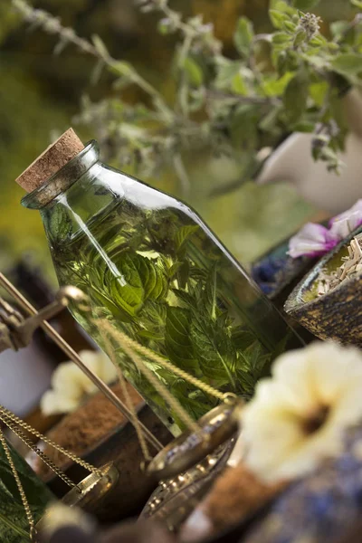 Remédio natural, Medicina herbal e mesa de madeira fundo — Fotografia de Stock