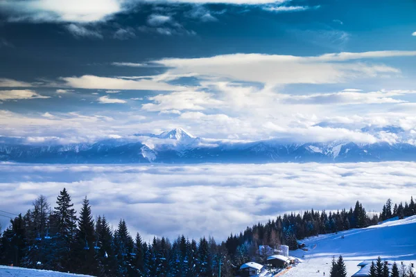 Fantástica paisagem de inverno, pôr do sol, árvores cobertas de neve — Fotografia de Stock