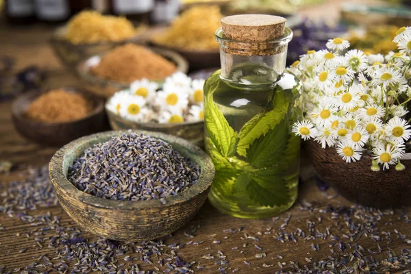 Fresh herbs and oils, wooden table background — Stock Photo, Image