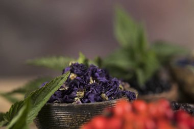 Doğal tedavi, şifalı bitkiler.