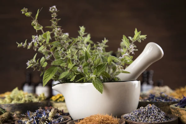 Natuurlijke remedie, kruidengeneeskunde en houten tafel achtergrond — Stockfoto