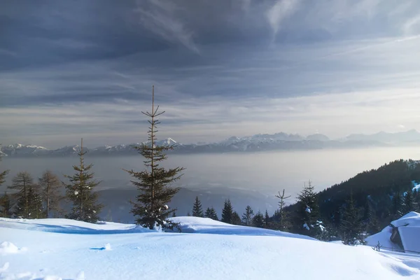 Fantastische Winterlandschaft, Sonnenuntergang, schneebedeckte Bäume — Stockfoto