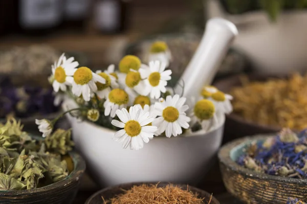 Remedio natural, fondo de hierbas curativas — Foto de Stock