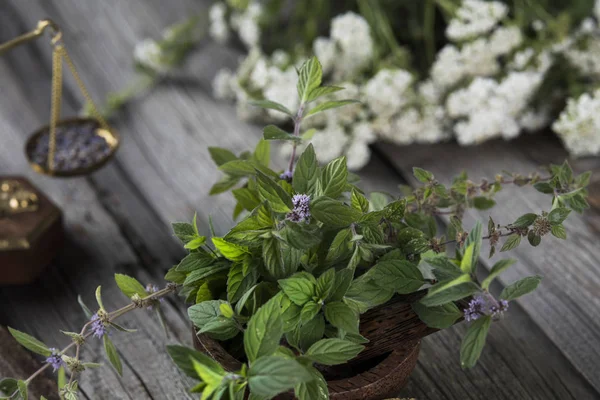 Natuurlijke remedie, kruidengeneeskunde en houten tafel achtergrond — Stockfoto